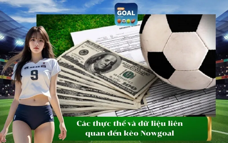 Các thực thể và dữ liệu liên quan đến kèo Nowgoal